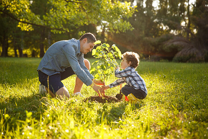 Un papa et son enfant plantant un arbre