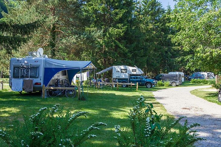 Allée verdoyante de camping Sites et Paysages offrant des emplacements variés