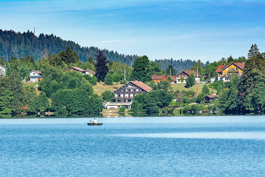 Vue panoramique sur le lac de Gérardmer, entouré de forêts et de chalets, dans la région Grand Est. Un cadre naturel idéal pour un séjour en camping au cœur des Vosges.