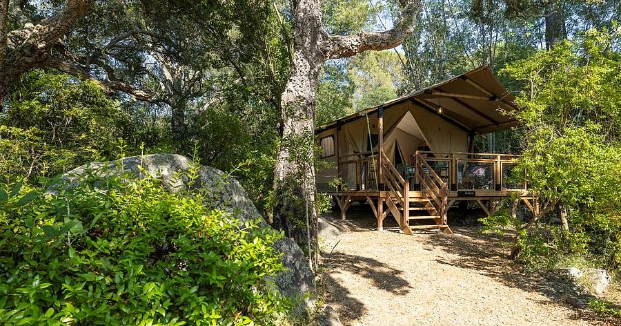Tente lodge en bois au cœur d’une forêt, parfaite pour une expérience de glamping authentique et proche de la nature.