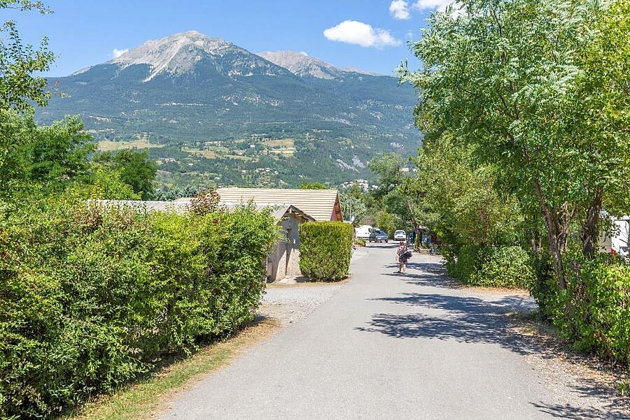 Allée ombragée d’un camping dans les Hautes-Alpes avec vue sur les montagnes, idéal pour des vacances au calme