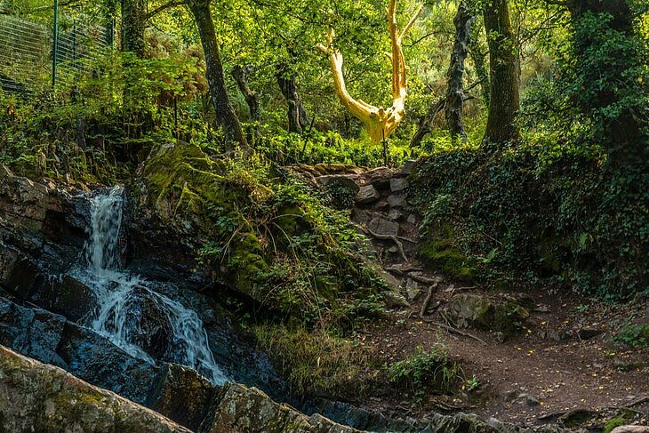 L’Arbre d’Or dans la forêt de Brocéliande, entouré de nature sauvage et d’une petite cascade, à découvrir près de Rochefort-en-Terre.