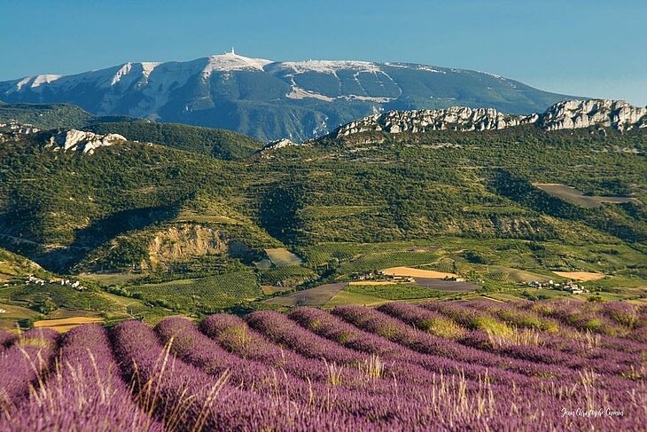 le Mont Ventoux Vue sur le Mont Ventoux derrière des champs de lavande et les reliefs provençaux.