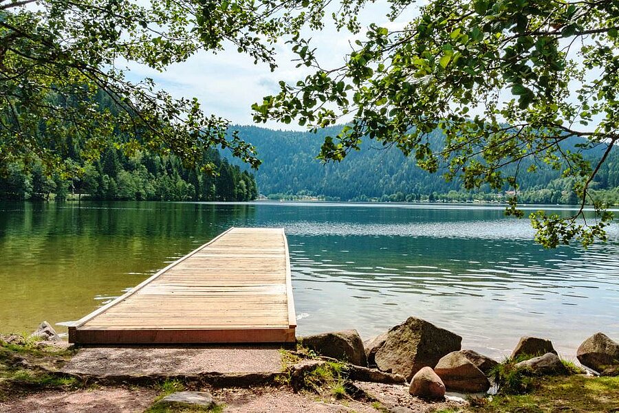 Ponton en bois sur le lac de Longemer entouré de forêts verdoyantes, idéal pour un séjour nature en camping dans les Vosges