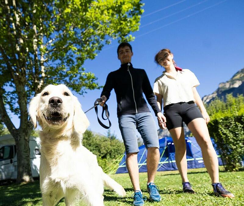 Choisir le meilleur pour votre animal : services uniques chez Sites et Paysages