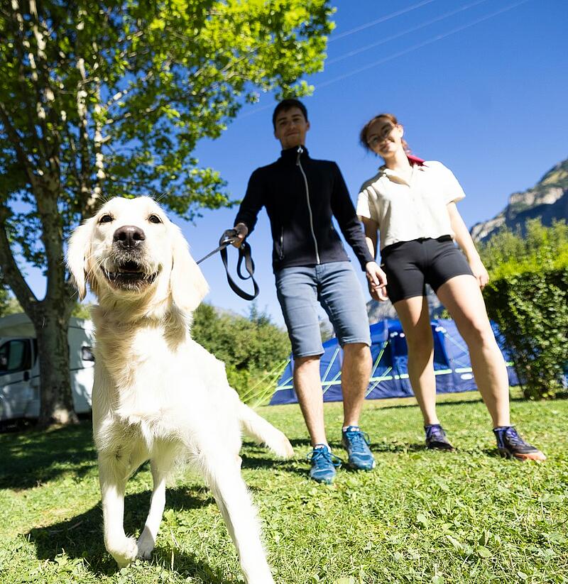 Choisir le meilleur pour votre animal : services uniques chez Sites et Paysages