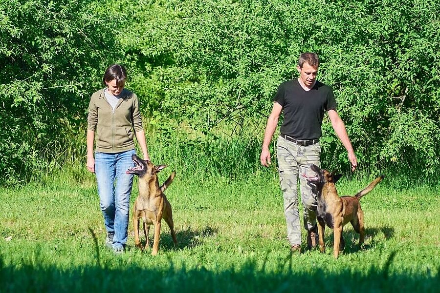 Une vacancière accompagnée de son chien et d’un éducateur canin avec son propre chien, lors d’une balade éducative en pleine nature, organisée dans le cadre des Cani vacances.