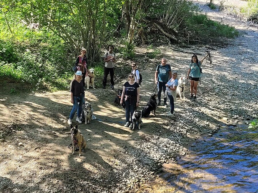 Les participants d'un week-end toutou-ristique, lors d’une balade éducative en pleine nature, organisée dans le cadre des Cani vacances.