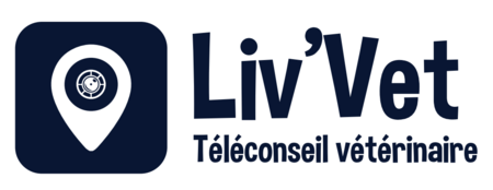 LivVet, rencontrez un vétérinaire pour votre fidèle compagnon sans quitter le confort de votre camping sites et paysages !