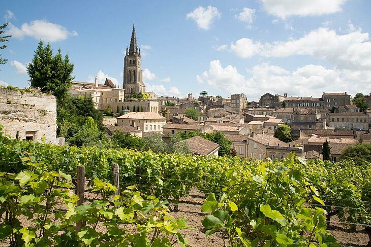 Vue sur les vignobles de Saint-Émilion près de Monfaucon, idéale pour des activités de plein air comme un vol en montgolfière.