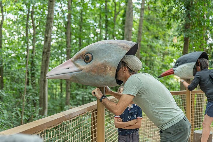 La Canopée des oiseaux © Terra Botanica Deux visiteurs observent la forêt à travers de grandes sculptures de têtes d'oiseaux sur une passerelle de Terra Botanica.