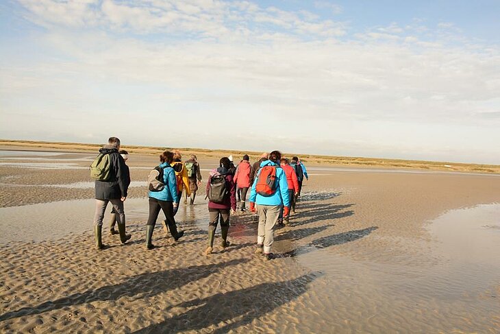 Groupe de randonneurs traversant la baie à marée basse près de la Pointe du Hourdel, une activité incontournable pour explorer la Baie de Somme à pied.