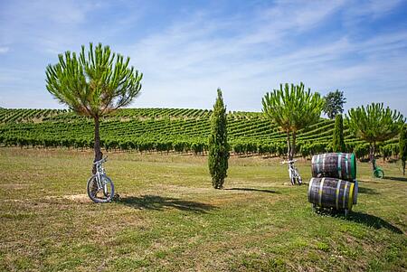 Vélos près des vignes en Dordogne