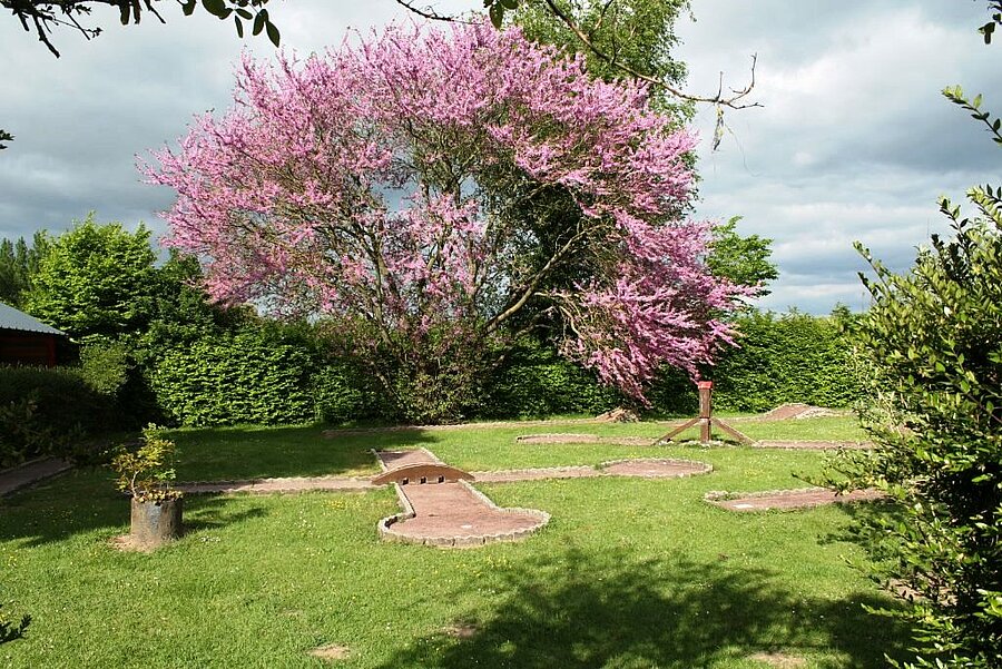 Terrain de mini-golf verdoyant avec un arbre en fleurs au sein d’un camping en Picardie, parfait pour des moments de détente et de convivialité en pleine nature.