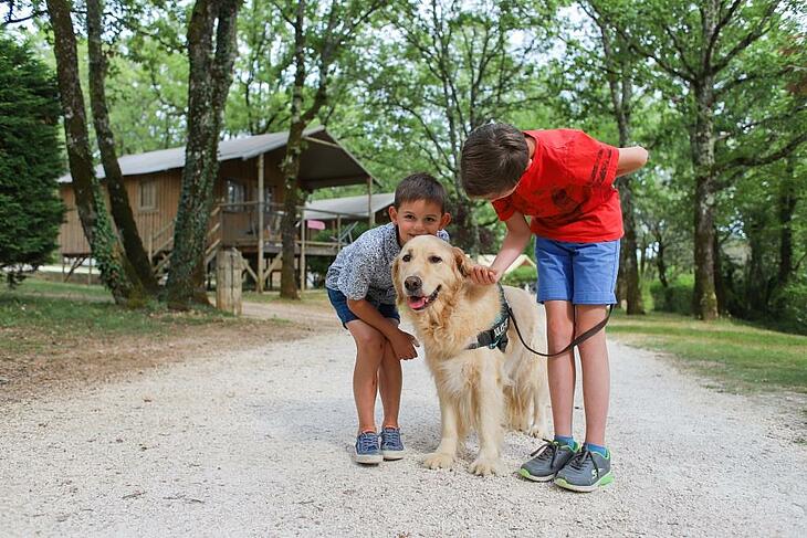 Famille avec leur chien profitant d'une balade en forêt au camping