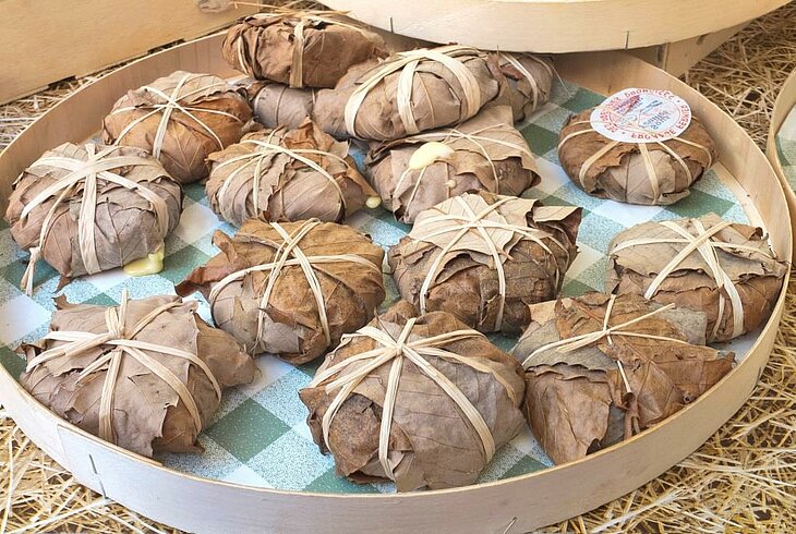 Fromages de chèvre de Banon affinés dans des feuilles de châtaignier, une spécialité provençale incontournable à découvrir lors des activités à Sisteron pour explorer les saveurs du terroir et les traditions locales.