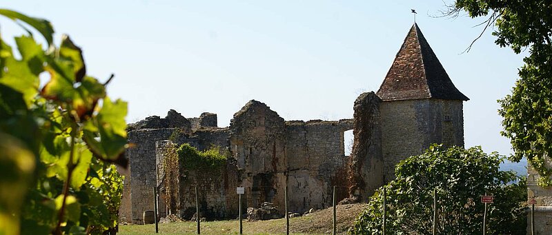 Que faire à Loupiac (Lot) ? Un séjour nature entre vallées, villages et trésors cachés