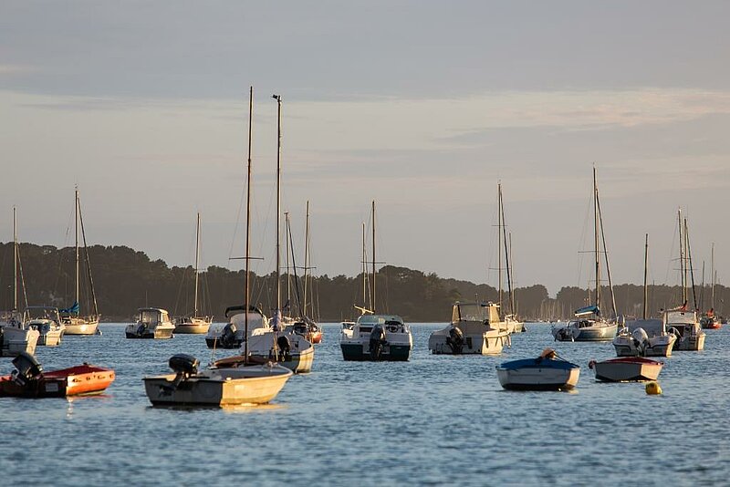 Balade pédestre à Arradon : explorez le golfe du Morbihan