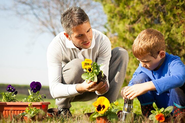 Père et fils plantent des fleurs dans le jardin, activité nature et éducative pendant les vacances.