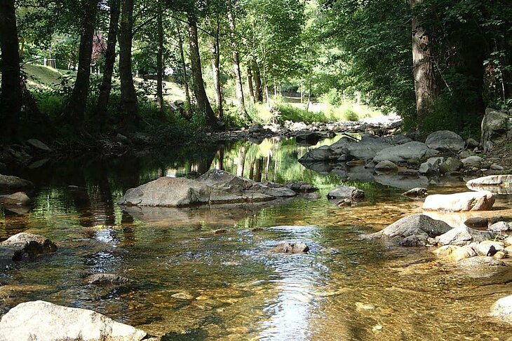 Rivière paisible bordée d’arbres aux abords du camping nature L’Oasis à Eclassan, un lieu idéal pour se ressourcer au plus près de l’eau et de la nature.