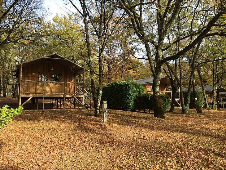 Chalet en camping nature en automne Chalets en bois installés sous les arbres aux couleurs d’automne dans un camping nature