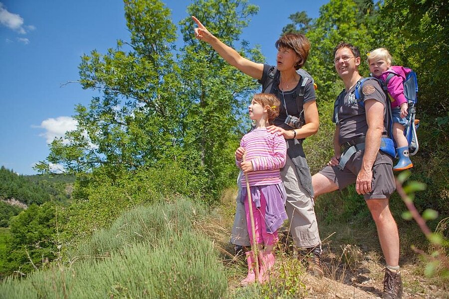 Famille en randonnée sur un sentier nature en France, idéale pour découvrir le pays depuis un camping ANWB recommandé.