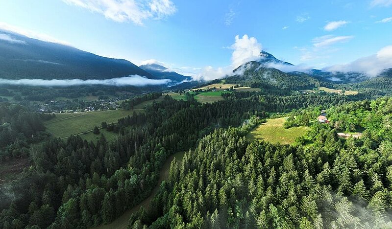 Que faire à Saint Pierre de Chartreuse pendant vos vacances ?