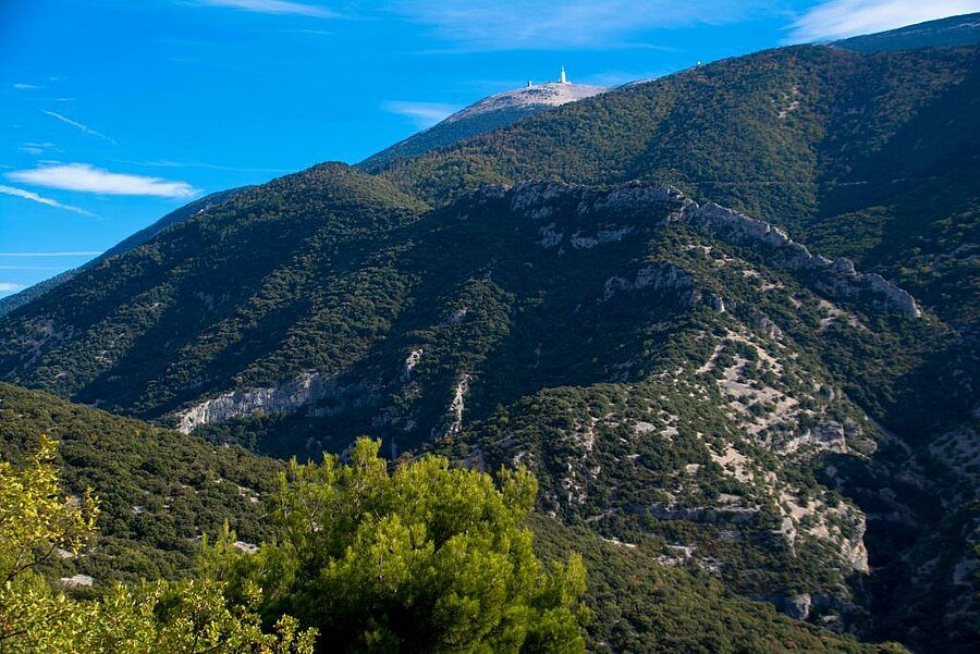 Vue sur les pentes verdoyantes du Mont Ventoux et son sommet emblématique, cadre naturel proche du camping.