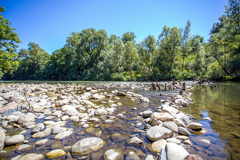 Martres-Tolosane tourisme : guide de cette perle de Haute-Garonne