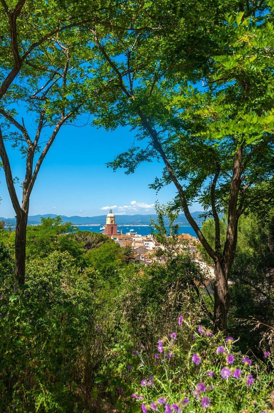 Vue sur un village typique de la région PACA, entouré de verdure avec un clocher et la Méditerranée en arrière-plan, idéale pour illustrer la beauté naturelle et culturelle de cette région lors d’un séjour en camping.