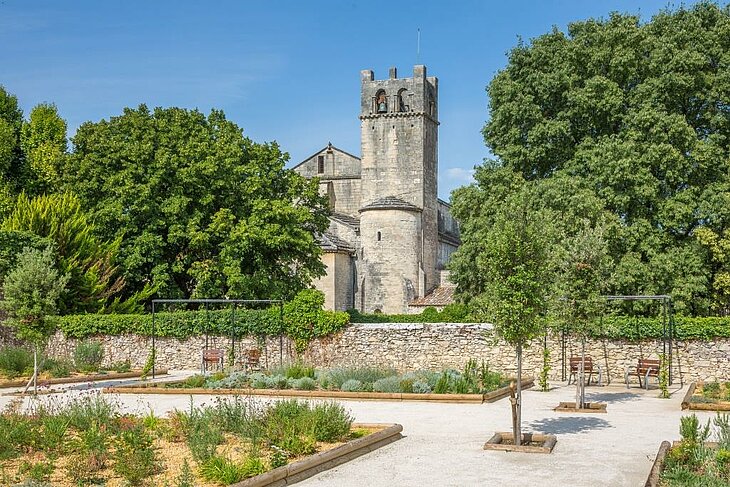 Notre-Dame-de-Nazareth Cathédrale Notre-Dame-de-Nazareth à Vaison-la-Romaine, vue derrière un jardin arboré sous un ciel bleu.