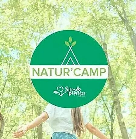 Logo Natur’Camp au cœur d’une forêt, illustrant des campings à taille humaine et responsables.
