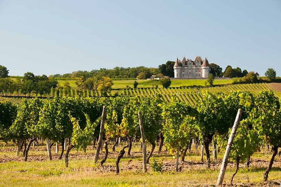 Vignobles de Monbazillac avec vue sur le château, une étape incontournable à proximité de votre camping près de Bergerac