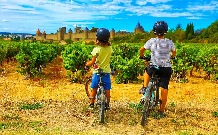 Deux enfants à vélo devant les vignes avec vue sur la cité médiévale de Carcassonne, en pleine nature occitane.