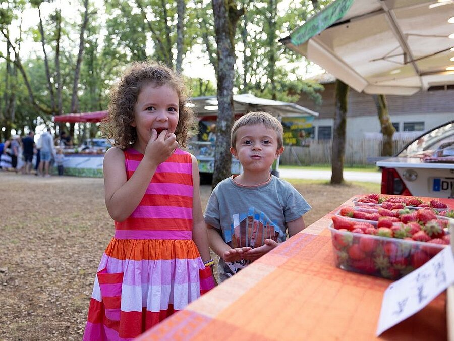 Enfants dégustant des fraises sur un marché local en camping dans le Sud-Ouest, ambiance conviviale et terroir
