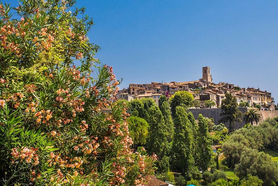 Village pittoresque aux couleurs printanières avec arbres en fleurs