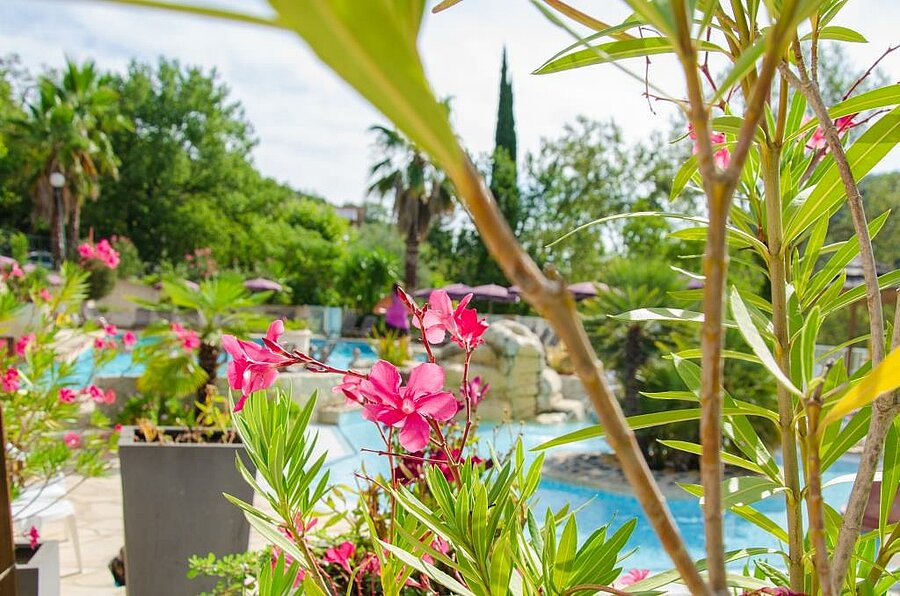 Piscine bordée de lauriers roses dans un camping des Alpes-Maritimes, cadre fleuri et ambiance détente en Provence-Alpes-Côte d’Azur.