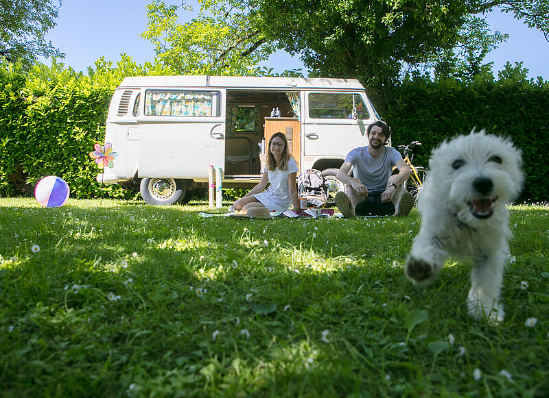Partir en vacances en camping avec son chien, c'est possible !