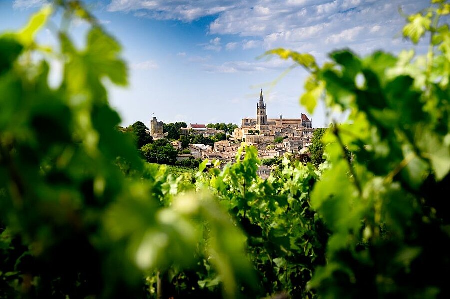 Vue sur le village médiéval de Saint-Émilion à travers les vignes, cité classée UNESCO à découvrir lors d’un séjour en camping Saint-Émilion.