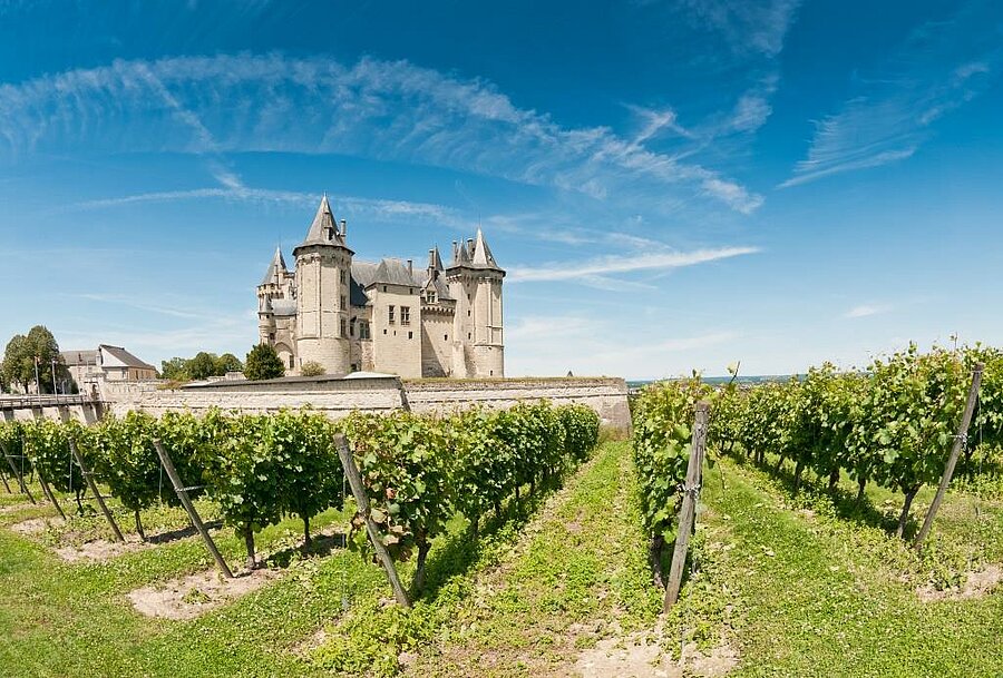 Vignes en premier plan et château de style médiéval sous un ciel bleu à Saumur, dans les Pays de la Loire.
