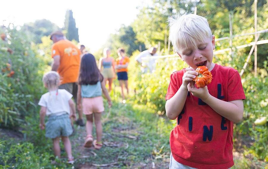 activites-en-famille-campings-sites-et-paysages