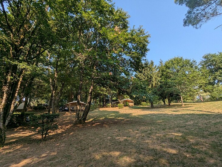 Emplacements et hébergements sous les arbres au Camping Domaine de la Grande Veyière, près du Bugue en Dordogne.