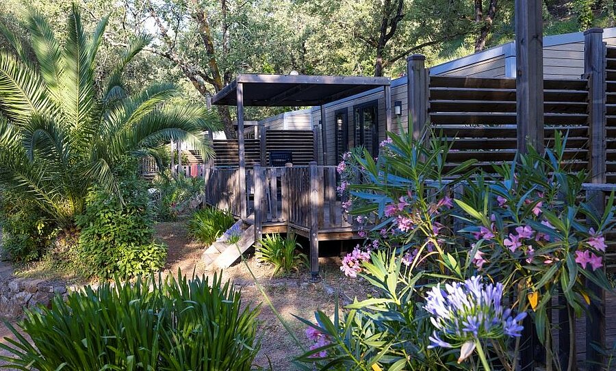 Mobil-home contemporain avec terrasse ombragée, entouré de palmiers et de fleurs méditerranéennes dans un camping près de Nice.