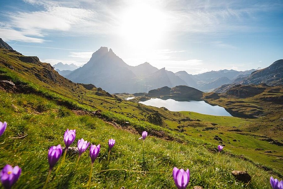 Lac d’altitude entouré de montagnes et fleurs sauvages dans les Hautes-Pyrénées, joyau naturel à explorer depuis un camping.