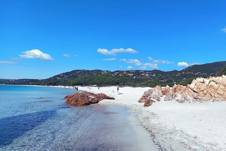 Plage de Palombaggia Plage de Palombaggia au sable blanc et eau turquoise dans le sud de la Corse, un incontournable à découvrir pour savoir que faire en Corse.