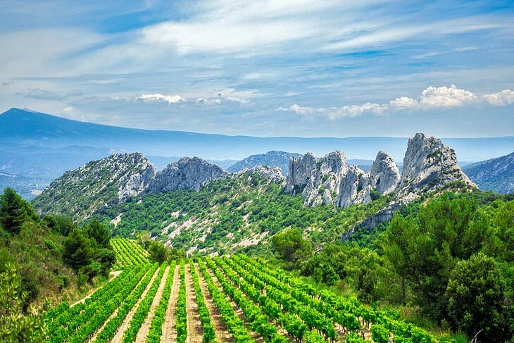 Les Dentelles de Montmirail Vue sur les Dentelles de Montmirail et leurs falaises calcaires, avec des rangées de vignes au premier plan.