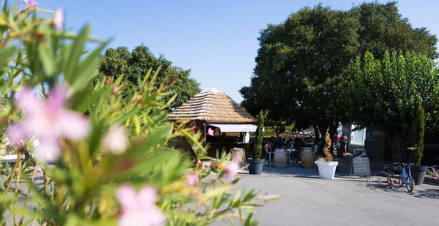 Terrasse ombragée du bar de camping près de Sampzon, ambiance conviviale et détente sous les arbres en Ardèche.