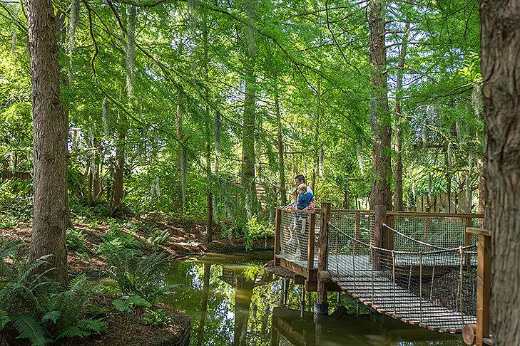 Aventure au Bayou © Terra Botanica Un adulte et un enfant observent un cours d'eau depuis une passerelle en bois suspendue dans la forêt de Terra Botanica.