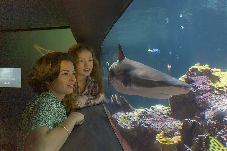 La Cité de la Mer à Cherbourg | ©-Vincent-Rustuel Mère et enfant observant un requin dans l’aquarium de la Cité de la Mer à Cherbourg, sortie ludique et éducative en famille en Normandie.