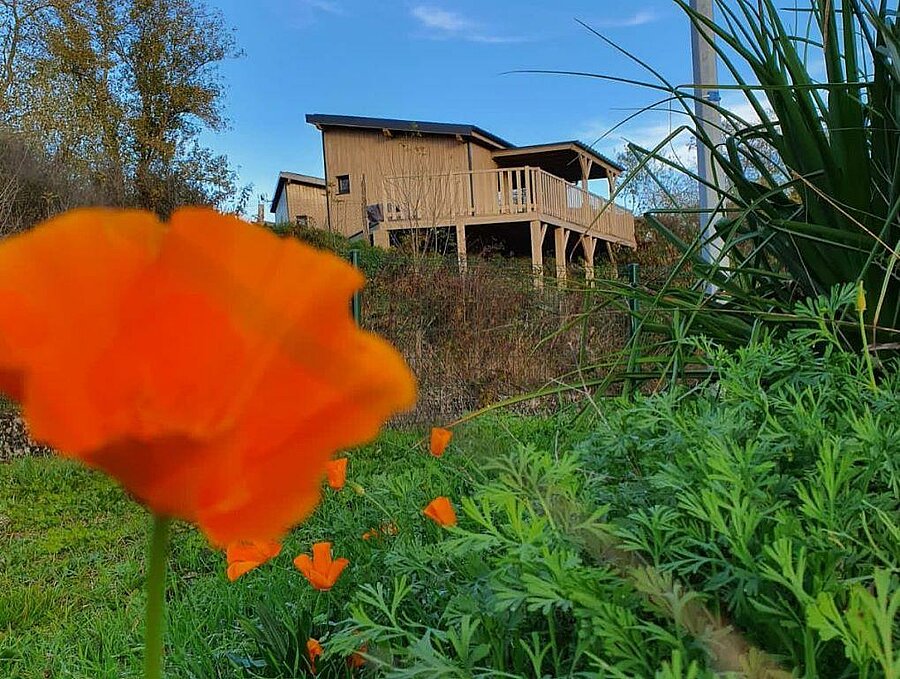 Chalet en bois niché dans un cadre verdoyant au sein d’un camping près du Canal du Midi, en Occitanie.